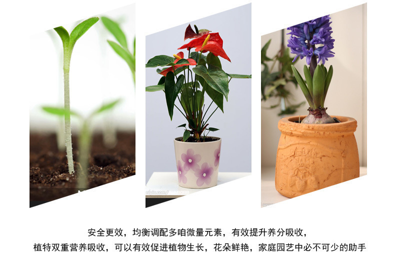 园艺植物营养液通用型土水培盆栽花卉绿萝富贵竹液体花肥料批发详情4