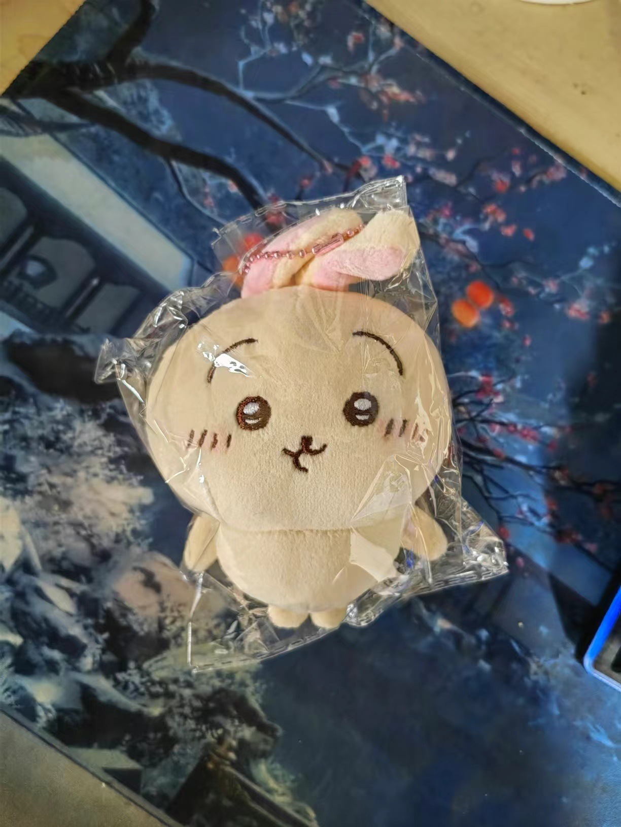 考拉衣服10cm棉花娃娃小兔小猫吉伊娃衣灰色树袋熊外套平替换装详情4