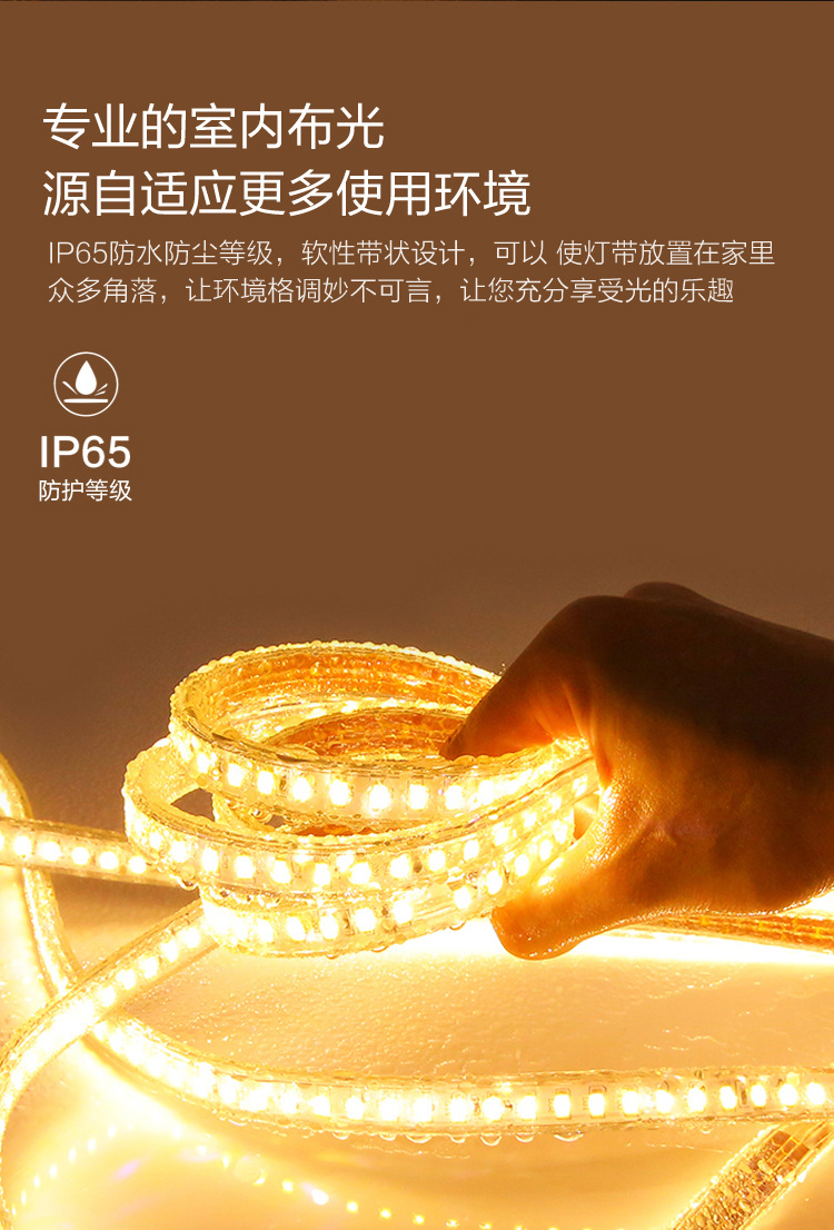 雷士照明LED灯带5050高亮贴片220V灯条客厅吊顶照明防水户外灯带详情4