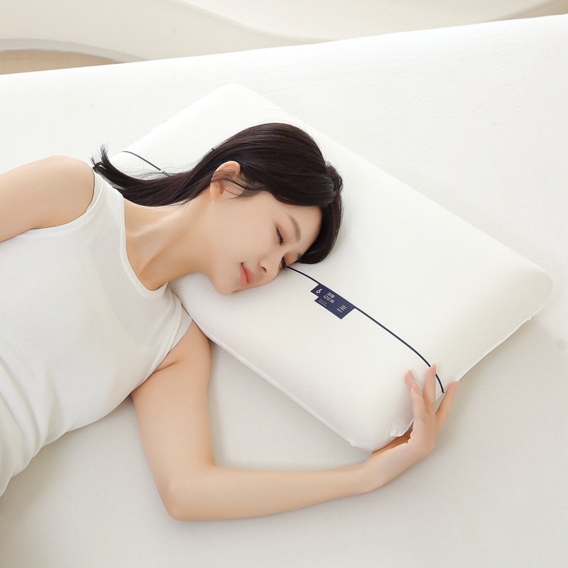 Planet Pillow pro Dual-core zero-pressure slow-rebound Memory Pillow core Hotel sleep Aid pillow pair neck support pillow pic 3