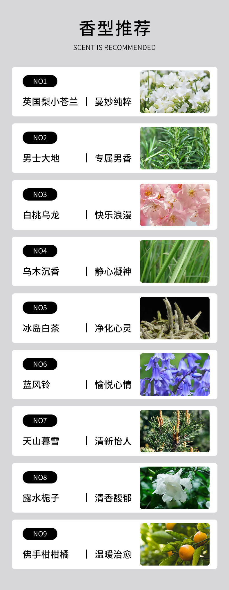 Wardrobe aromatherapy, wardrobe fragrance wax tablets, bedroom and home long-lasting fragrance and odor removal, car fragrance hanging accessories, wholesale of fragrance tablets pic 31