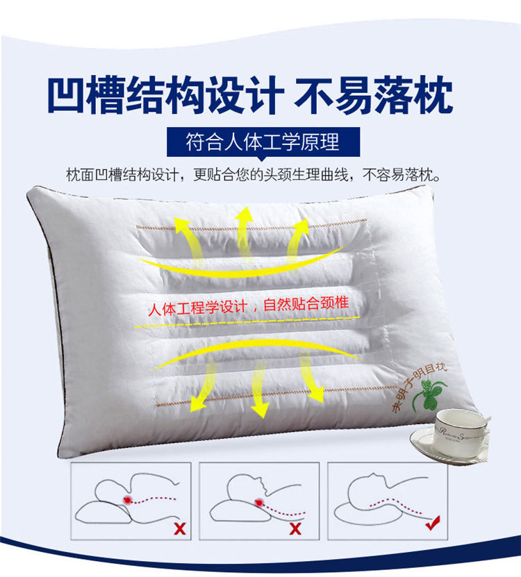 Wholesale supply of Cassia seed, lavender, buckwheat flower and grass neck protection pillow, single adult health pillow core manufacturer pic 6
