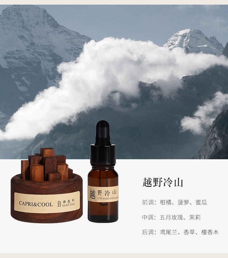 Free-growing diffuser wood, flameless aromatherapy essential oil, home indoor diffuser, bedroom decoration, flameless fragrance gift pic 18