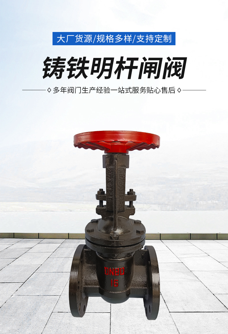 明杆闸阀Z41T-16消防排污水自来水排水闸阀俄标铸铁闸阀铜芯详情3