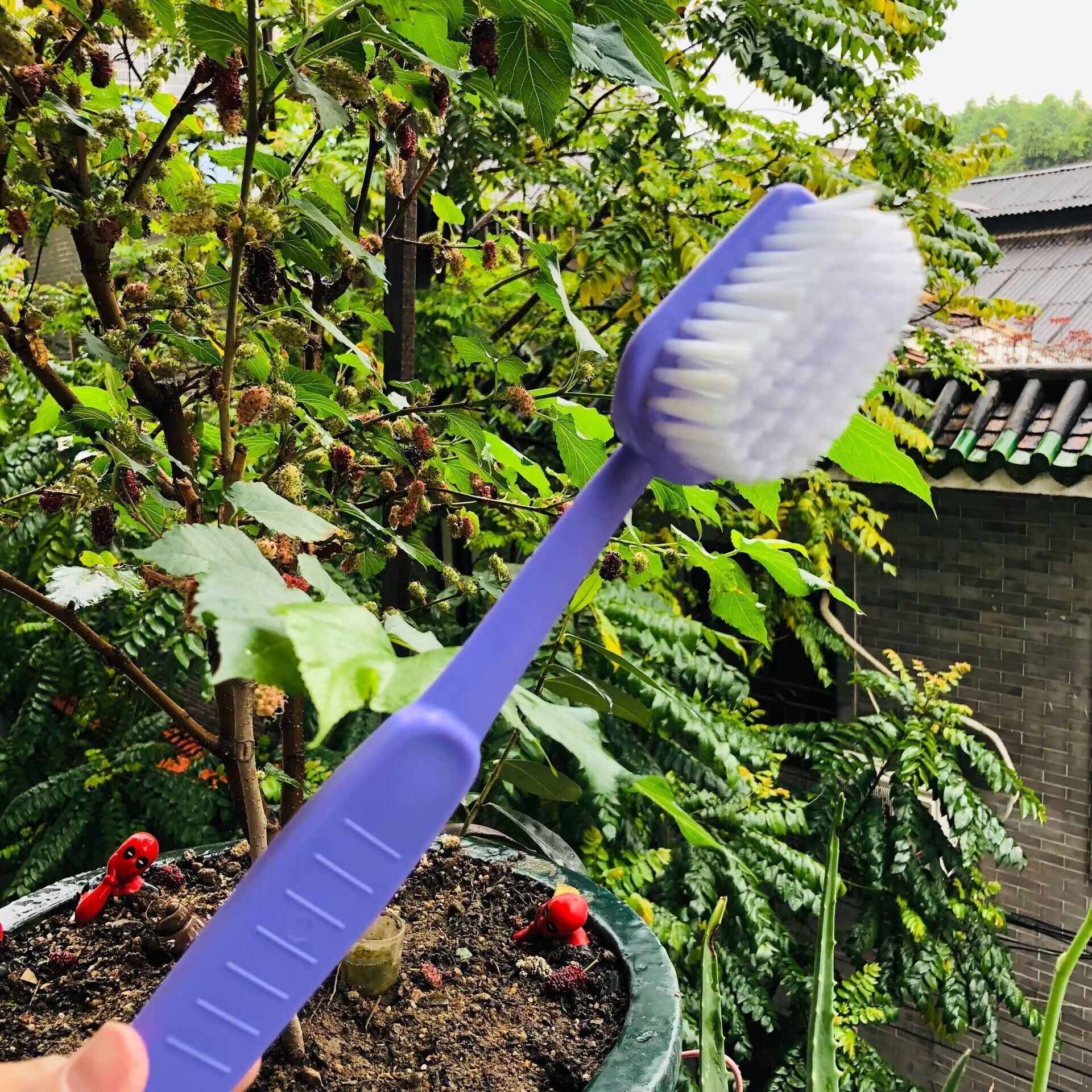 Large toothbrush, big toothbrush, scrubbing brush, bathing brush, cleaning brush, hotel long-handled massage, back rubbing, bath brush, bath brush pic 2
