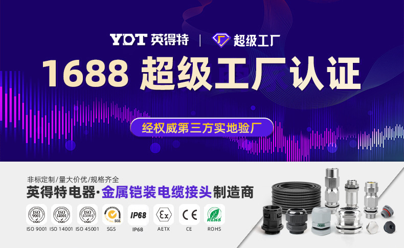 英得特不锈钢NPT金属电缆接头防水电缆格兰头外螺纹固定头填料函详情1