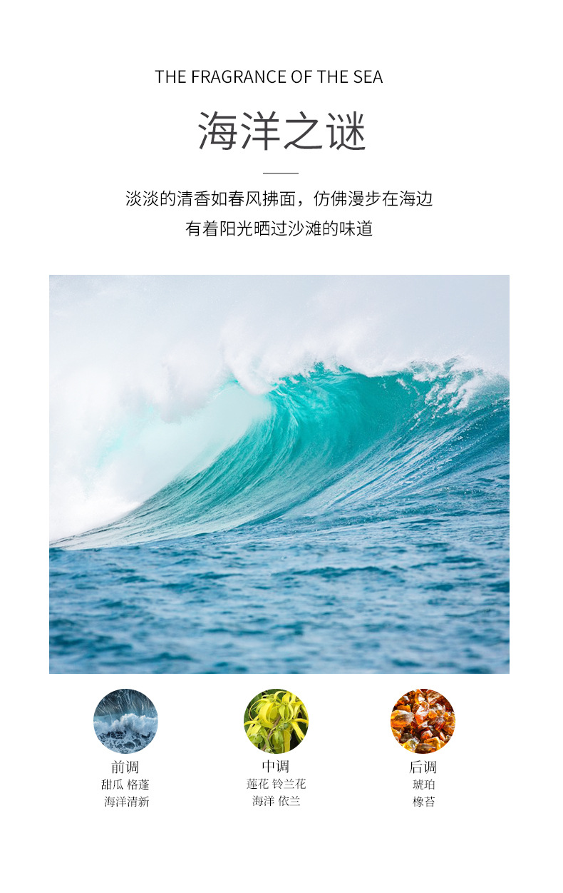 经典50毫升海洋之谜无火香薰卧室客厅除臭净化空气天然植物香氛详情4
