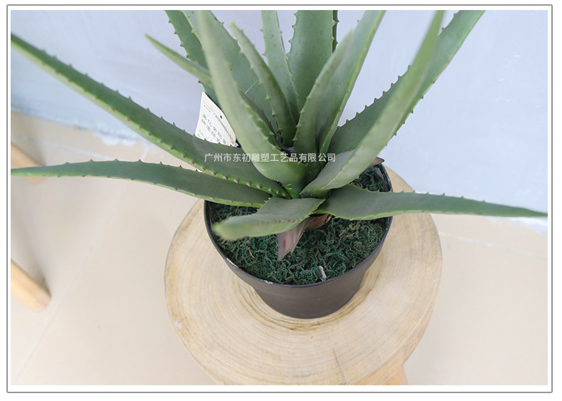 仿真芦荟小盆景摆件 家居小装饰盆栽芦荟 人造假绿植百搭装饰造景详情3