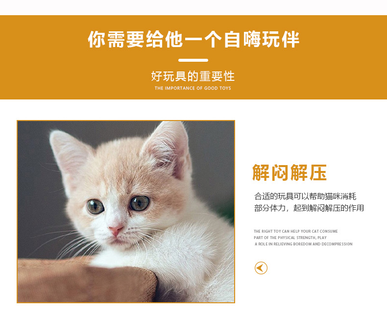 跨境宠物玩具21套装 猫隧道逗猫棒老鼠铃铛球毛球 宠物猫通道用品详情39