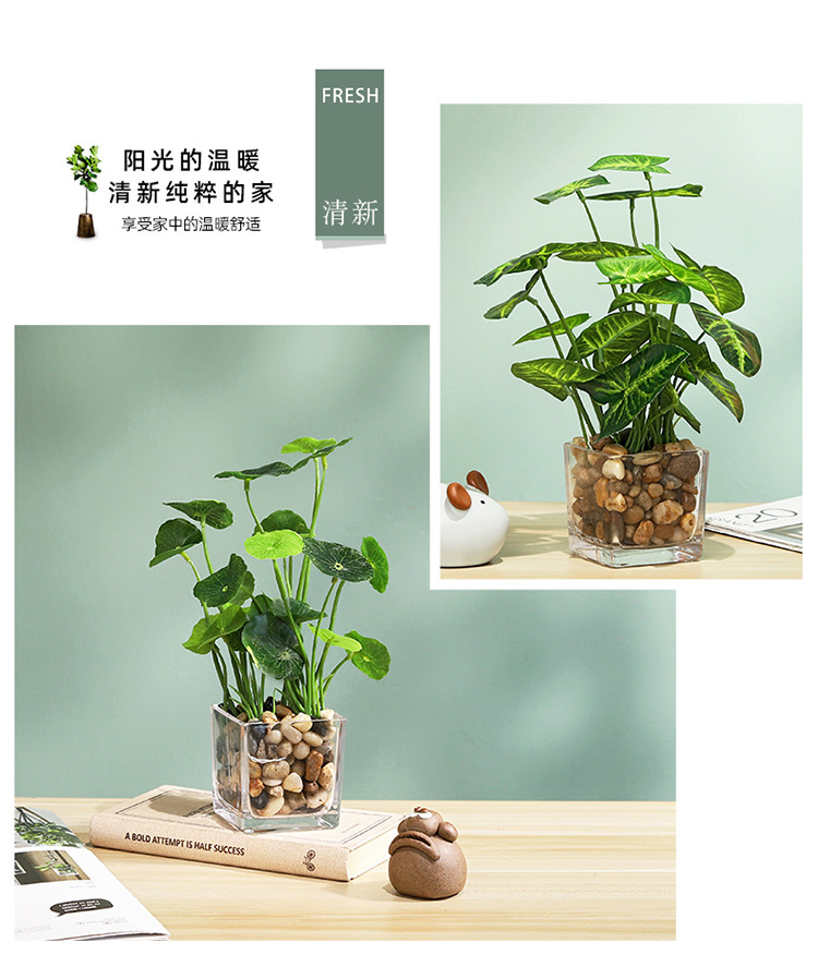 北欧ins假花绿植盆栽摆件家居客厅室内装饰迷你植物盆景详情12