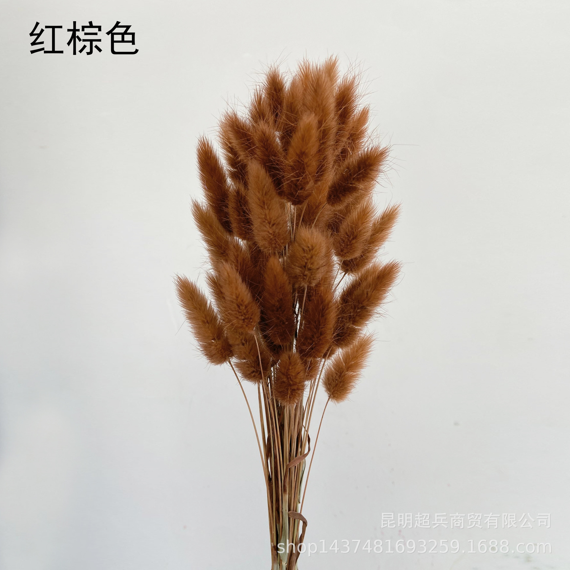 QQ图片20211210155631.jpg