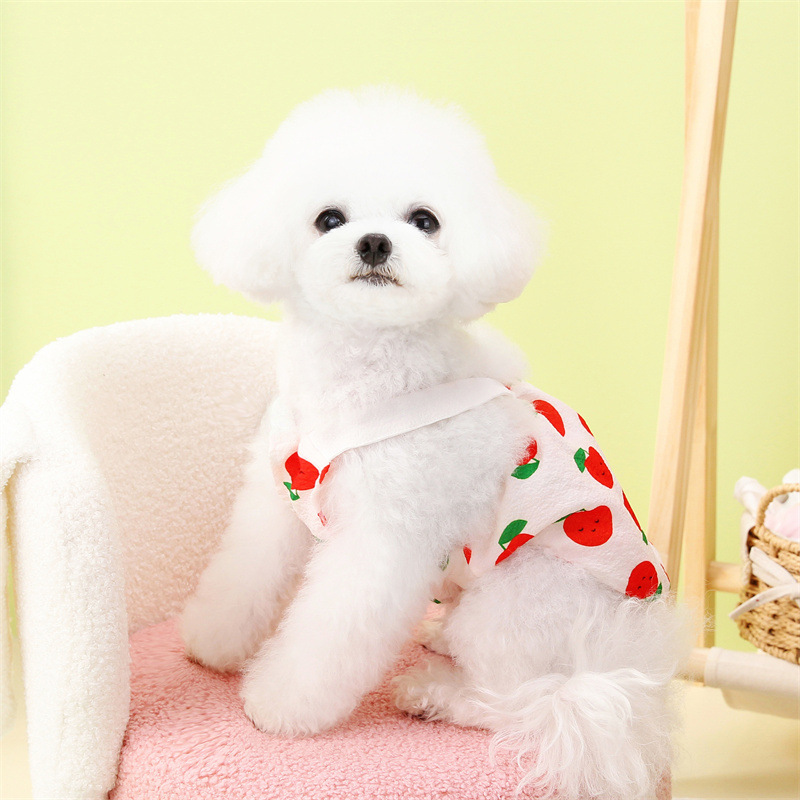 宠物裙子原厂批发春夏新款宠物狗狗猫咪裙子可爱舒适叶子水果裙详情10