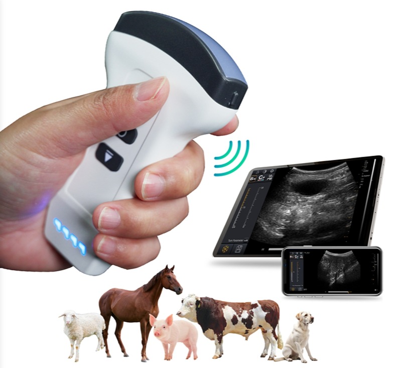 Cross-border dedicated handheld B-ultrasound machine for animals and humans, wireless connection compact ultrasonic scanner, ultrasonic probe pic 9