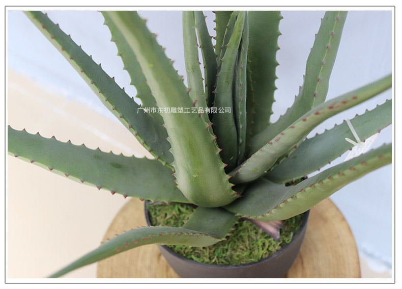 仿真芦荟小盆景摆件 家居小装饰盆栽芦荟 人造假绿植百搭装饰造景详情4