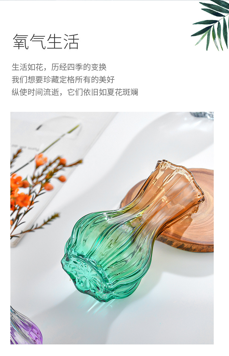 Nordic garlic-patterned glass vase with a transparent tabletop for living room decoration, ins style, high appearance level, dried fresh flower vase pic 3