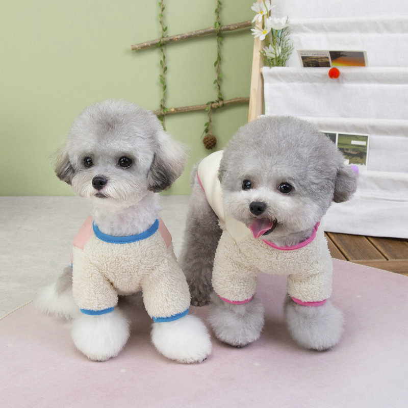 Cute autumn and winter dog, cute cartoon dog, four-legged hoodie, cat, warm fleece, 25 balloon hoodie pic 8