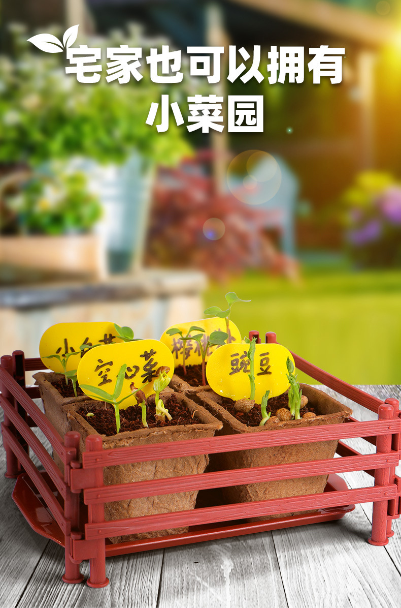 Sunshine Little Vegetable Garden Wooden Science Experiment Set DIY Dragon Boat Planting Science and Technology Small Experiment Toys pic 3