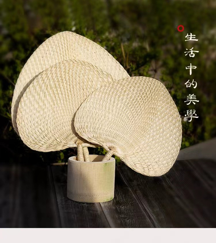 蒲扇子夏季扇男手工草编扇折扇手摇扇宝宝纳凉驱蚊扇子棕叶大蒲扇详情10