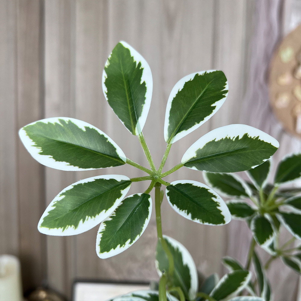 鸭嘴木仿真绿植发财叶单枝客厅装饰婚礼摆件园艺盆栽宠物绿植配件详情6