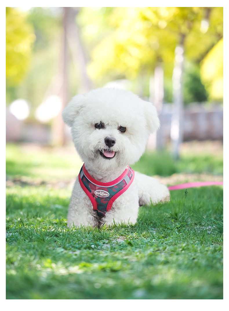 Wholesale of new spring and summer dog chest and back straps, reflective and breathable dog leash, camouflage three-piece set and dog leash pic 18