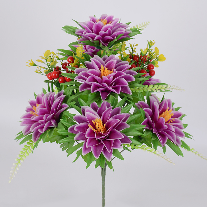10头7耳菊紫色.jpg