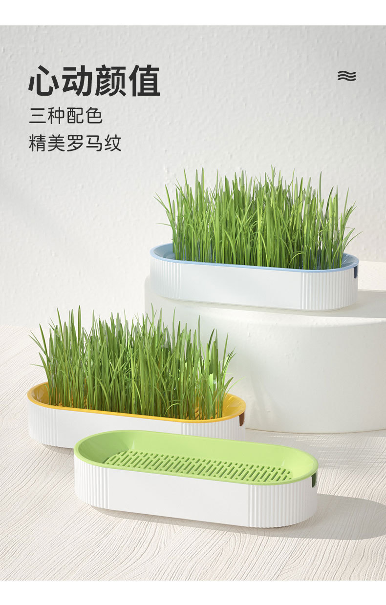 猫咪新款水培猫草盒 猫咪猫零食猫薄荷种植无土猫草套宠物猫草盒详情9