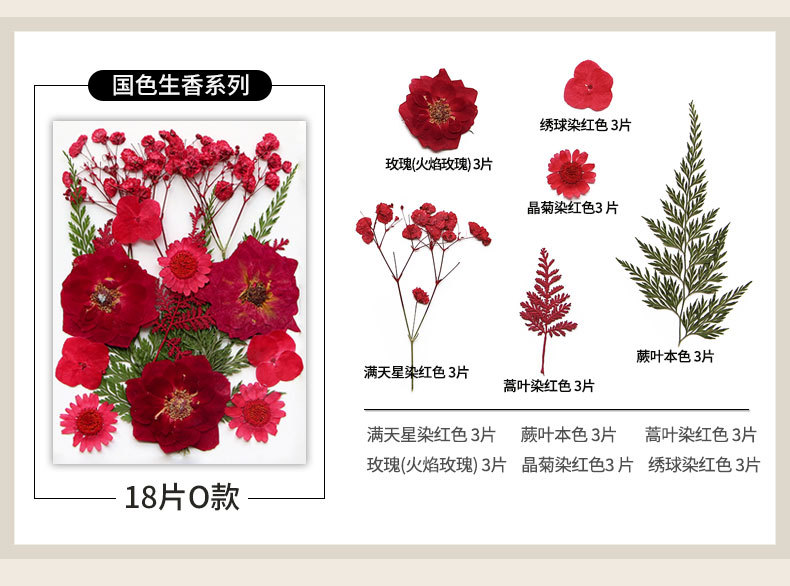 新款干花压花材料包贴脸装饰眼角写真花瓣diy滴胶相框植物标本详情24