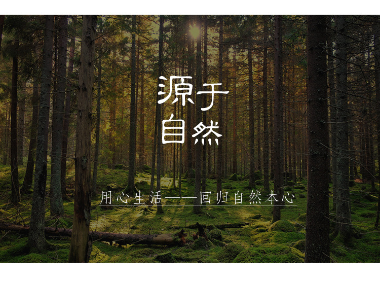 Forest Series Roman rod curtain rod, complete curtain fixing bracket, full set of accessories, factory direct sales, side top installation pic 2
