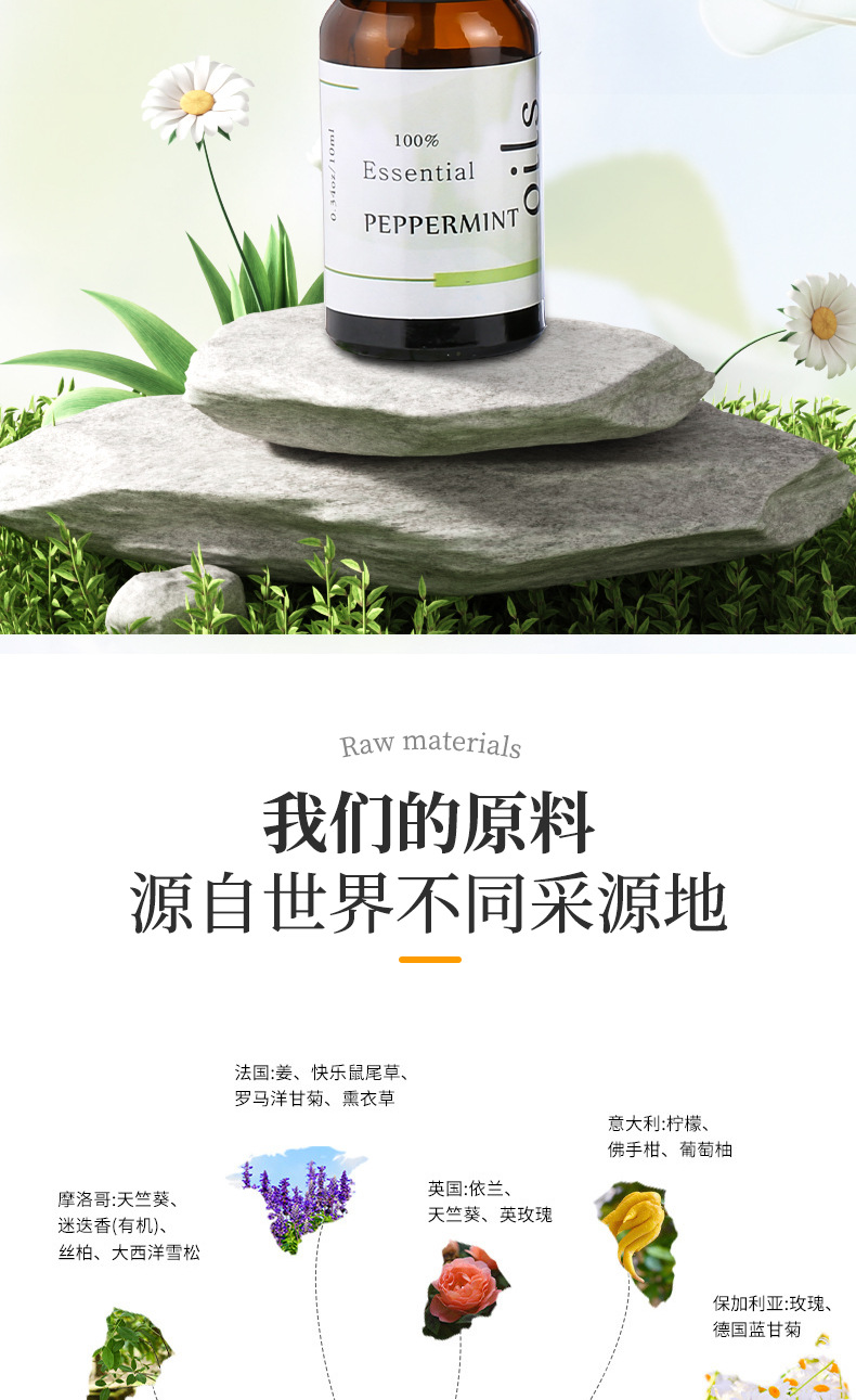 Foreign trade supermarket quality aromatherapy essential oil 10ml rose massage essential oil diffuser stone Humidifier single essential oil set pic 3