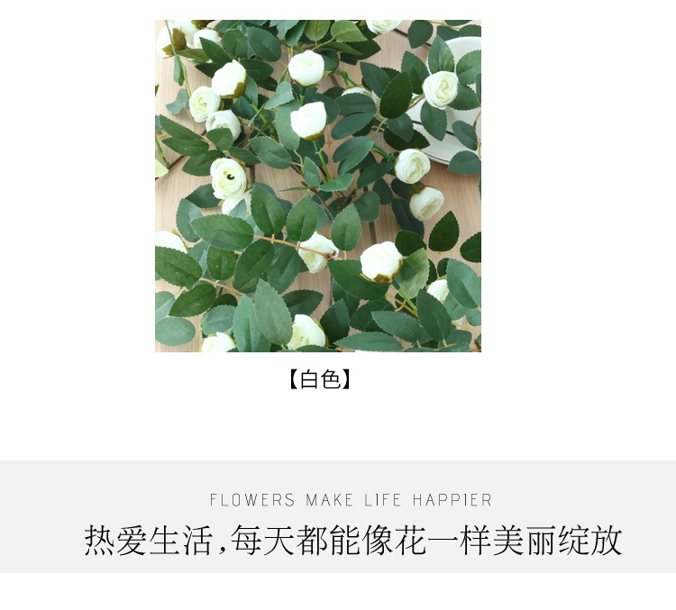 未标题-1_04.jpg