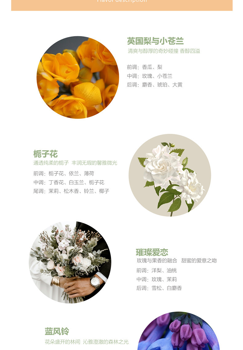 Aromatherapy supplement Liquid, Flameless Fragrance essential oil, rattan toilet indoor aromatic liquid, Tea aroma, all-season Westin White Tea pic 14