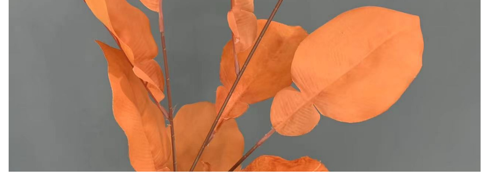 仿真3叉柚子叶婚礼家居装饰布置彩色马蹄叶子道具假花摆件批发详情9