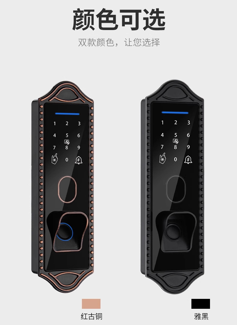 Bull head lock, electronic lock, anti-theft door, courtyard fingerprint lock, apartment iron gate, graffiti all smart lock, old-fashioned combination lock pic 23