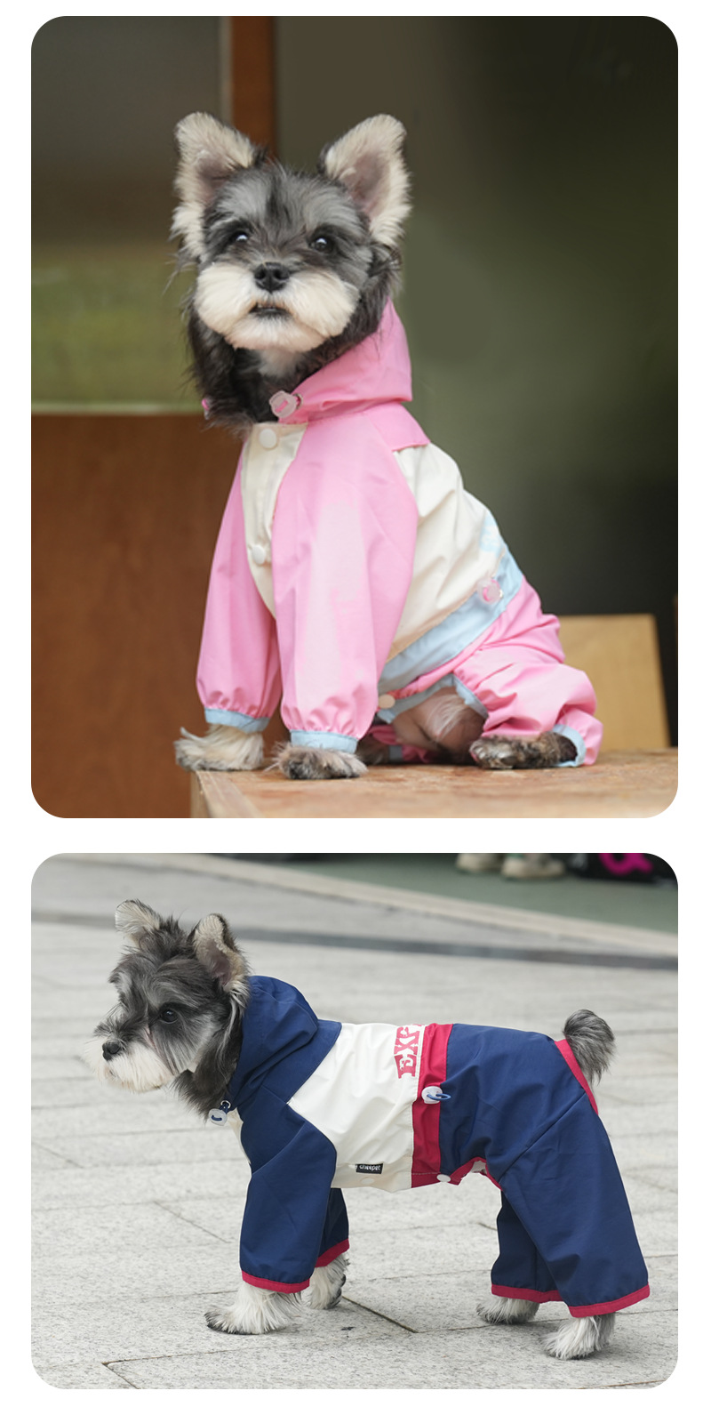 狗狗春夏冲锋雨衣糖果撞色四腿遛狗服泰迪雪纳瑞中小型犬衣服批发详情10
