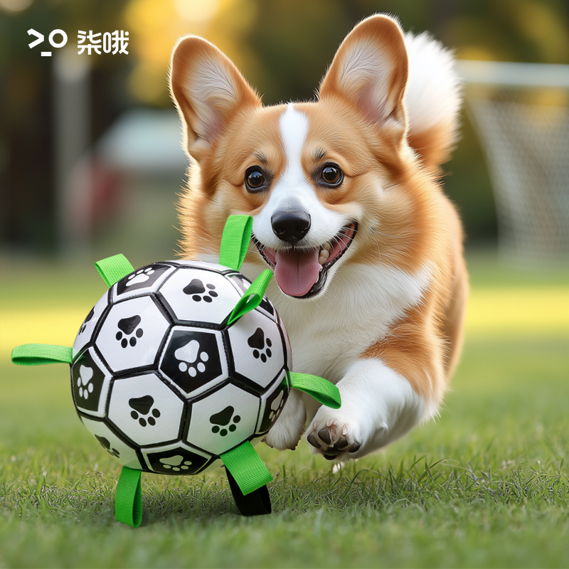 Dog toy balls, teething and biting resistant, dog football, outdoor special touring training balls, wholesale pet toys pic 1