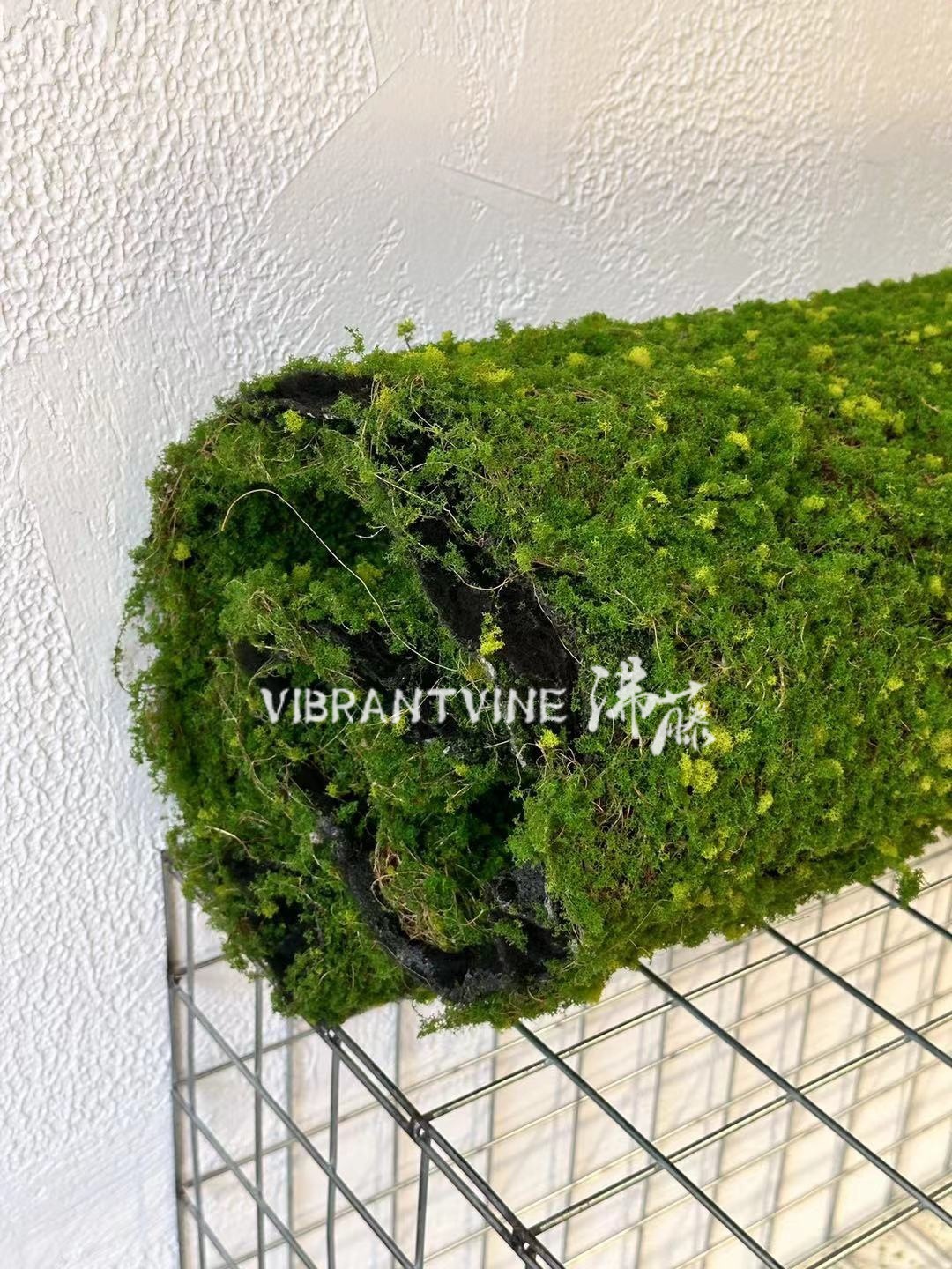 仿真绿植青苔藓皮青苔坪橱窗软装苔藓绿地墙面植物墙装饰人造草坪详情6