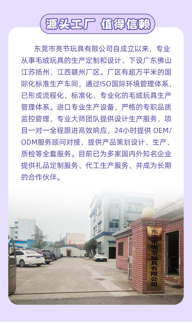 天选黑马毛绒玩具定制卡通马年生肖吉祥物公仔来图来样定做IP玩偶详情4
