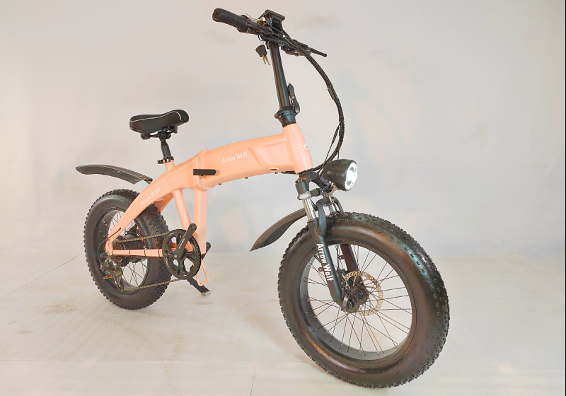 双电机雪地电动助力车双电池双电机电动自行车折叠双电机电动车详情13