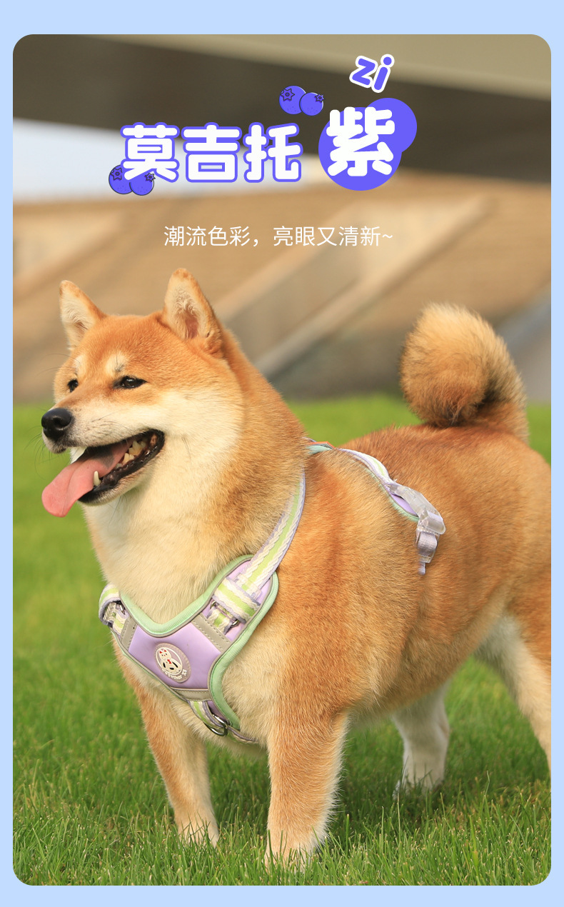 云感舒适颜值出街910胸背带柴犬款寸衫束紧夹休闲百搭女潮流夏季新款详情9