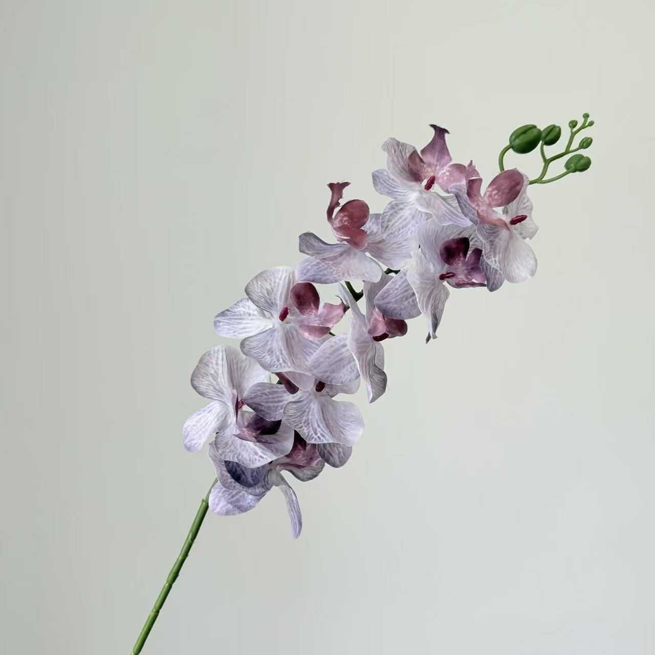 9头蝴蝶兰仿真花手感高级感逼真假花兰花艺场景布置酒店婚庆用花详情34