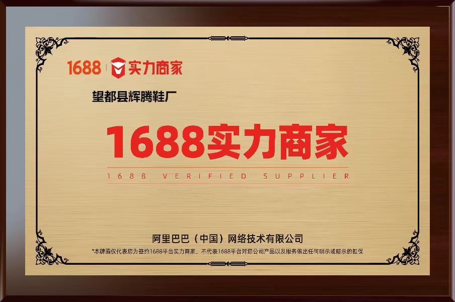 运动鞋女跨境外贸2025新款厚底气垫休闲鞋网面一脚蹬增高健步鞋女详情1