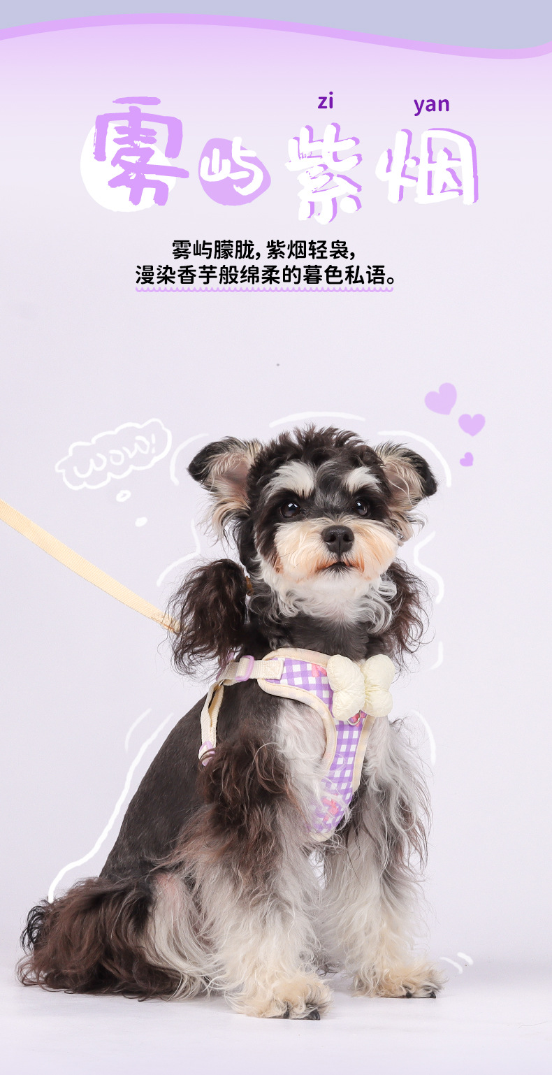 New dog leash, pet puppy chest strap, Bichon Shiba Inu, Schnauzer breathable outdoor dog leash pic 12