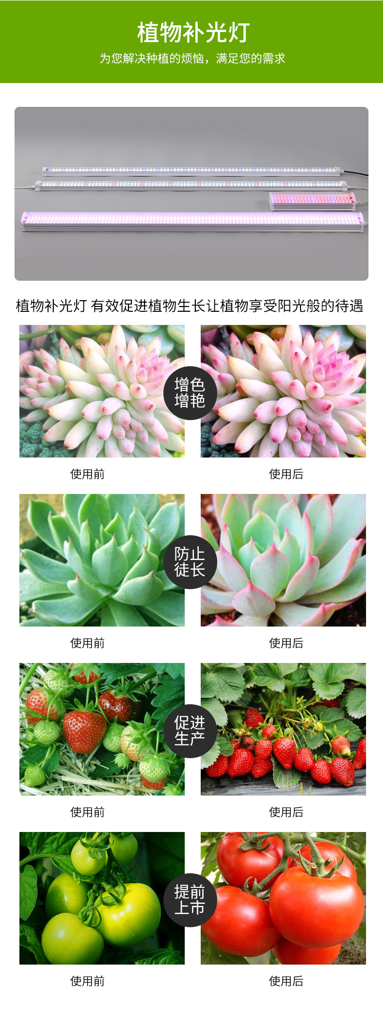Full-spectrum cross-border flower greenhouse, household indoor succulent lamp, coloring and supplementary lighting lamp, T8LED plant lamp, growth lamp pic 10