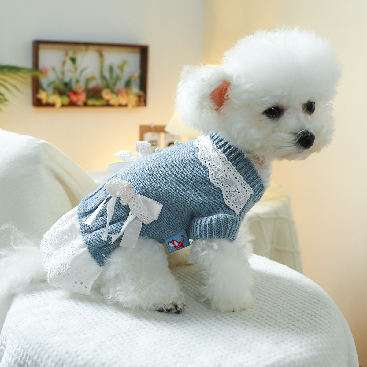 T Elegant princess cat and dog clothes, pet dog and cat warm and comfortable home clothes for autumn and winter, dog clothes, pet skirts pic 14