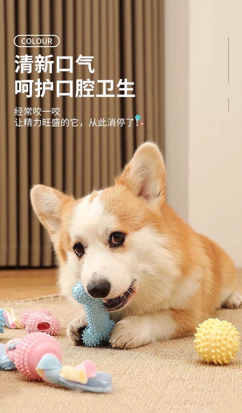 Dog toys, teething sticks, durable small dogs, puppy pet supplies, bone sticks, biting rubber balls, dog teaser sets pic 4