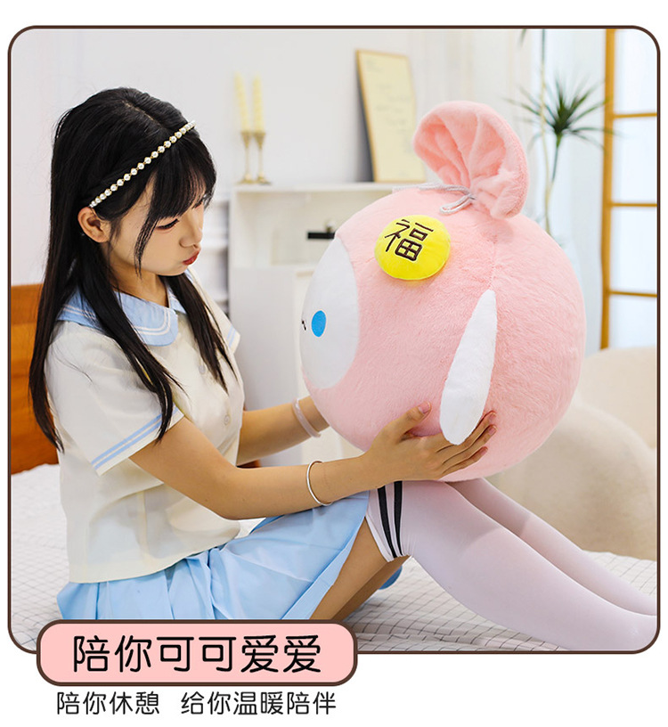 跨境新款可爱玉桂狗福袋抱枕毛绒玩具公仔玩偶卡通萌福袋睡觉批发详情5