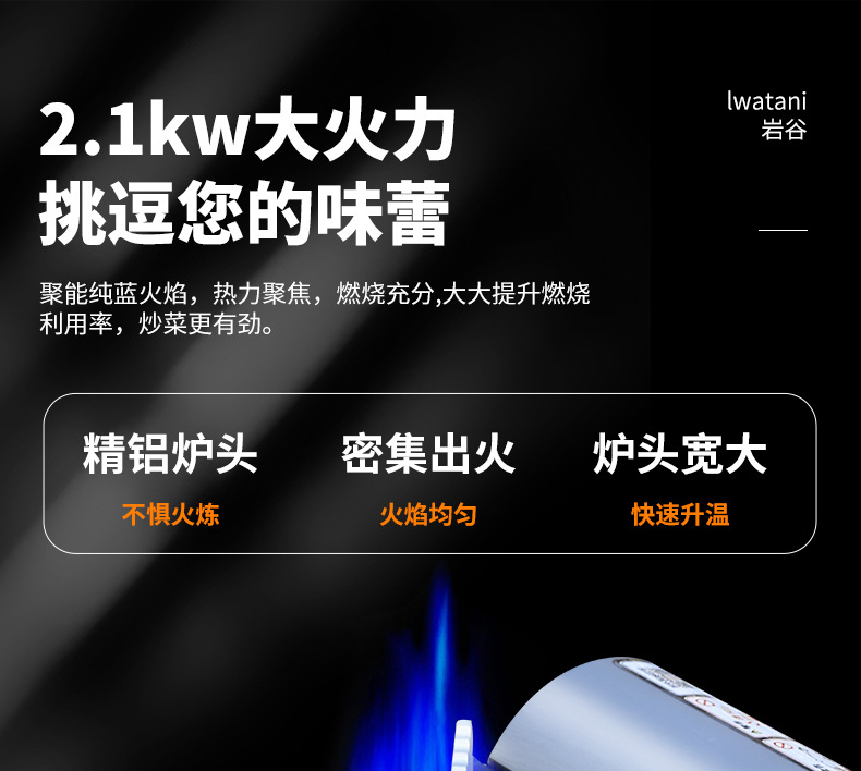 岩谷卡式炉ZM-1S迷你卡士炉便携烧烤炉子户外燃气卡磁炉卡斯炉详情4