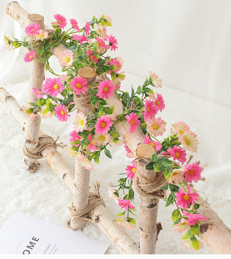 小雏菊---副本_01.jpg