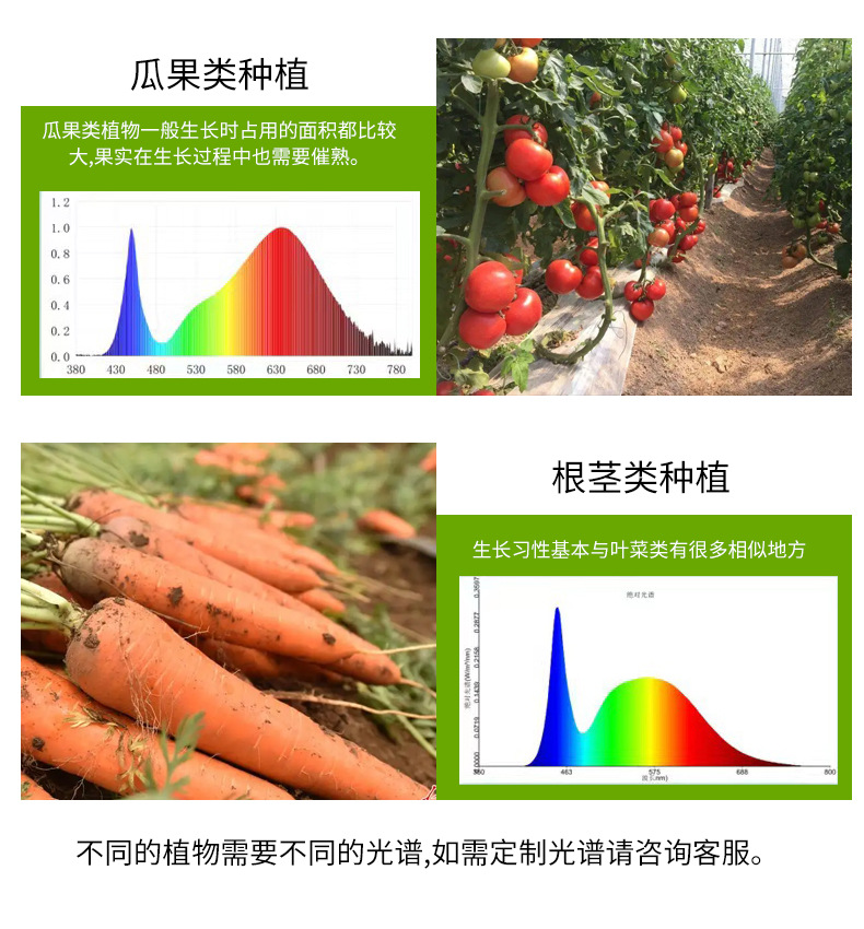 Full-spectrum cross-border flower greenhouse, household indoor succulent lamp, coloring and supplementary lighting lamp, T8LED plant lamp, growth lamp pic 8