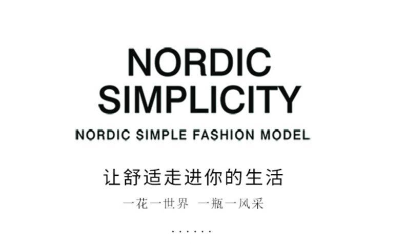 2025 Nordic ceramic vases, decorative items, dried flowers, flower arrangements, TV cabinets, home decorations, creative living room cross-border designs pic 3